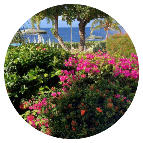 Coral Estate Luxury Resort Curacao